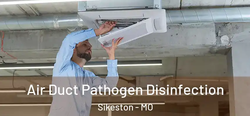  Air Duct Pathogen Disinfection Sikeston - MO