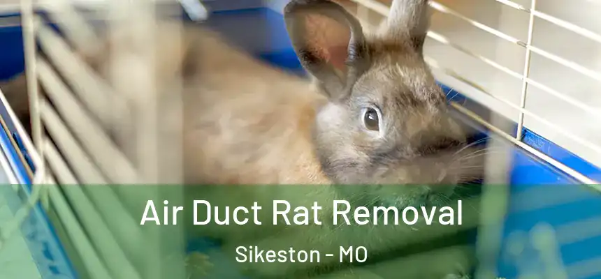 Air Duct Rat Removal Sikeston - MO