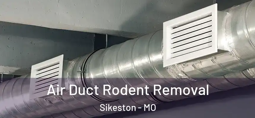 Air Duct Rodent Removal Sikeston - MO