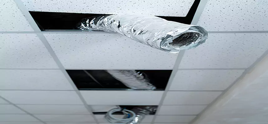 Affordable HVAC Sanitizing After Pest Removal in Sikeston