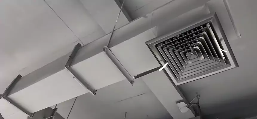 Our Pest Removal From Ducts Services in Sikeston, MO