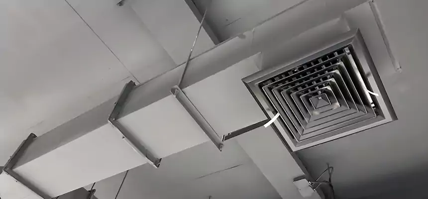 Our Rodent Droppings In Vents Services in Sikeston, MO