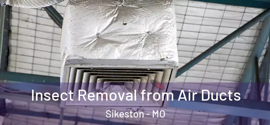 Insect Removal from Air Ducts Sikeston - MO
