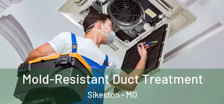Mold-Resistant Duct Treatment Sikeston - MO