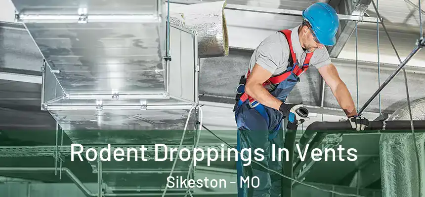  Rodent Droppings In Vents Sikeston - MO
