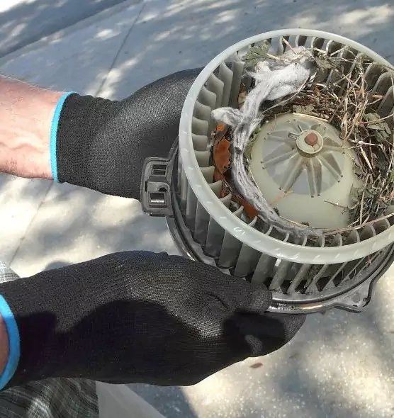 About Air Duct Rat Removal in Sikeston, MO