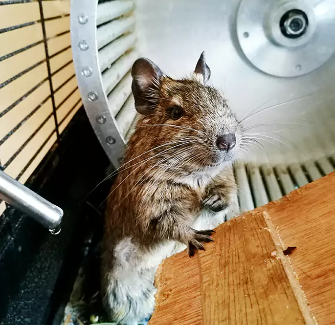 Why Homeowners & Businesses Trust Us Sikeston, MO?