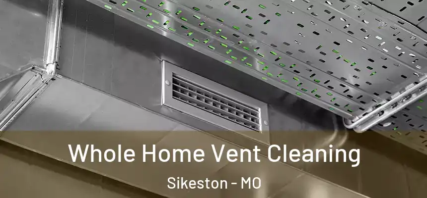  Whole Home Vent Cleaning Sikeston - MO